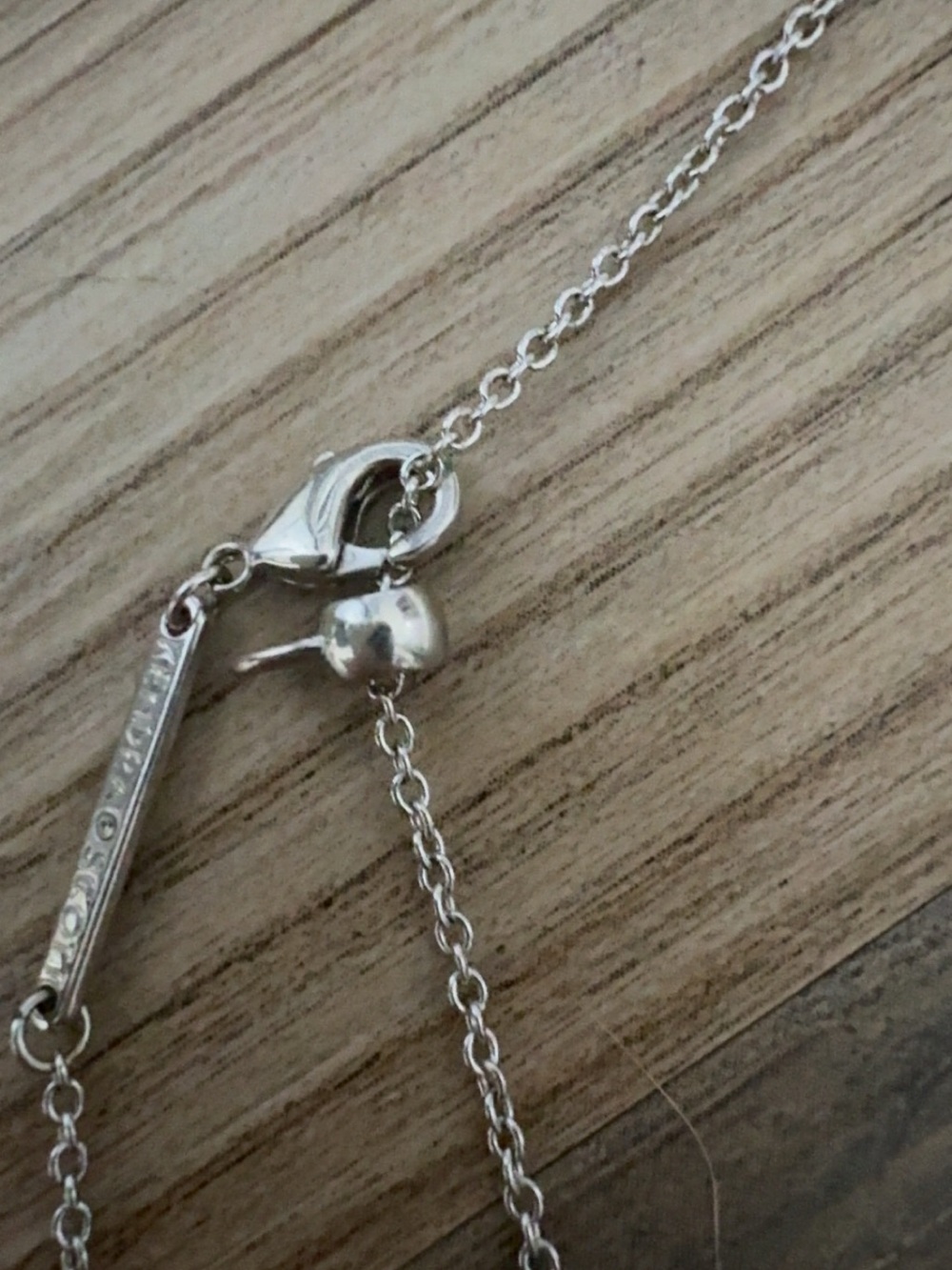 Kendra Scott Silver Cat Necklace - Picture 3 of 3